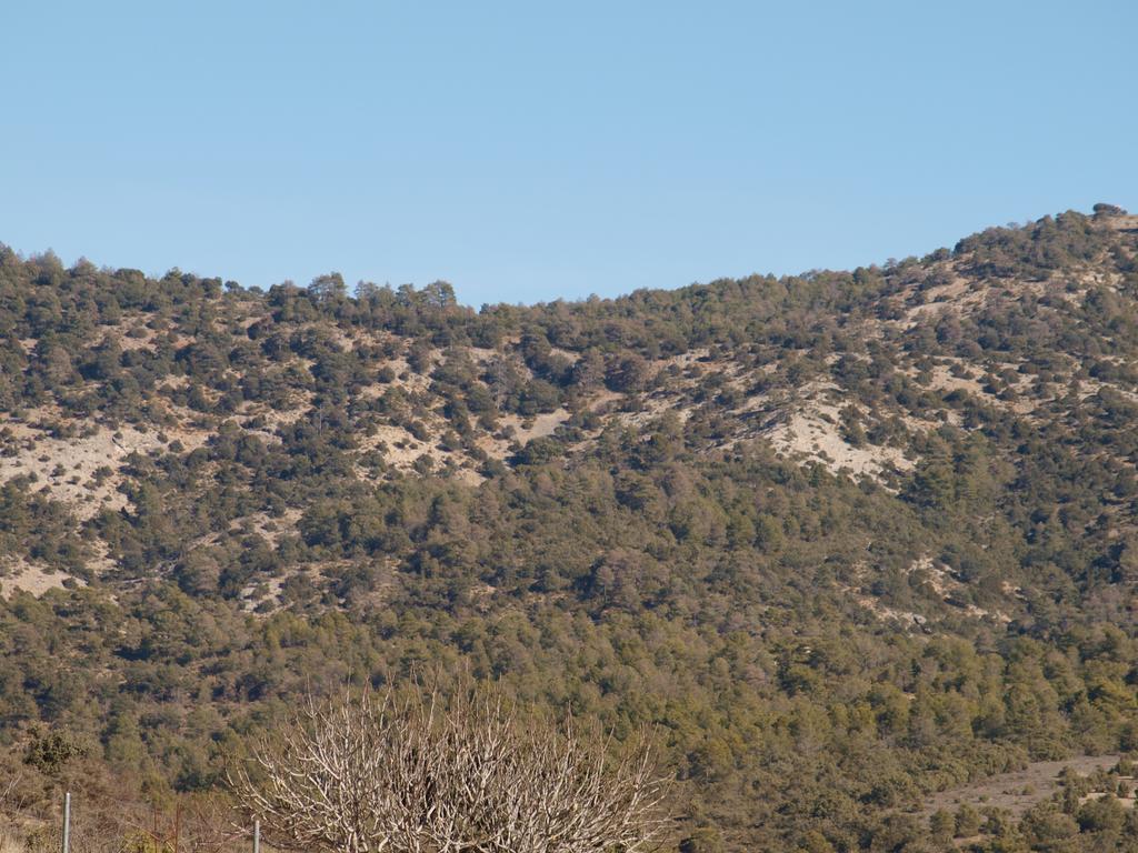 Penzion Alojamiento Turistico "El Torreon" Fresneda de la Sierra Exteriér fotografie